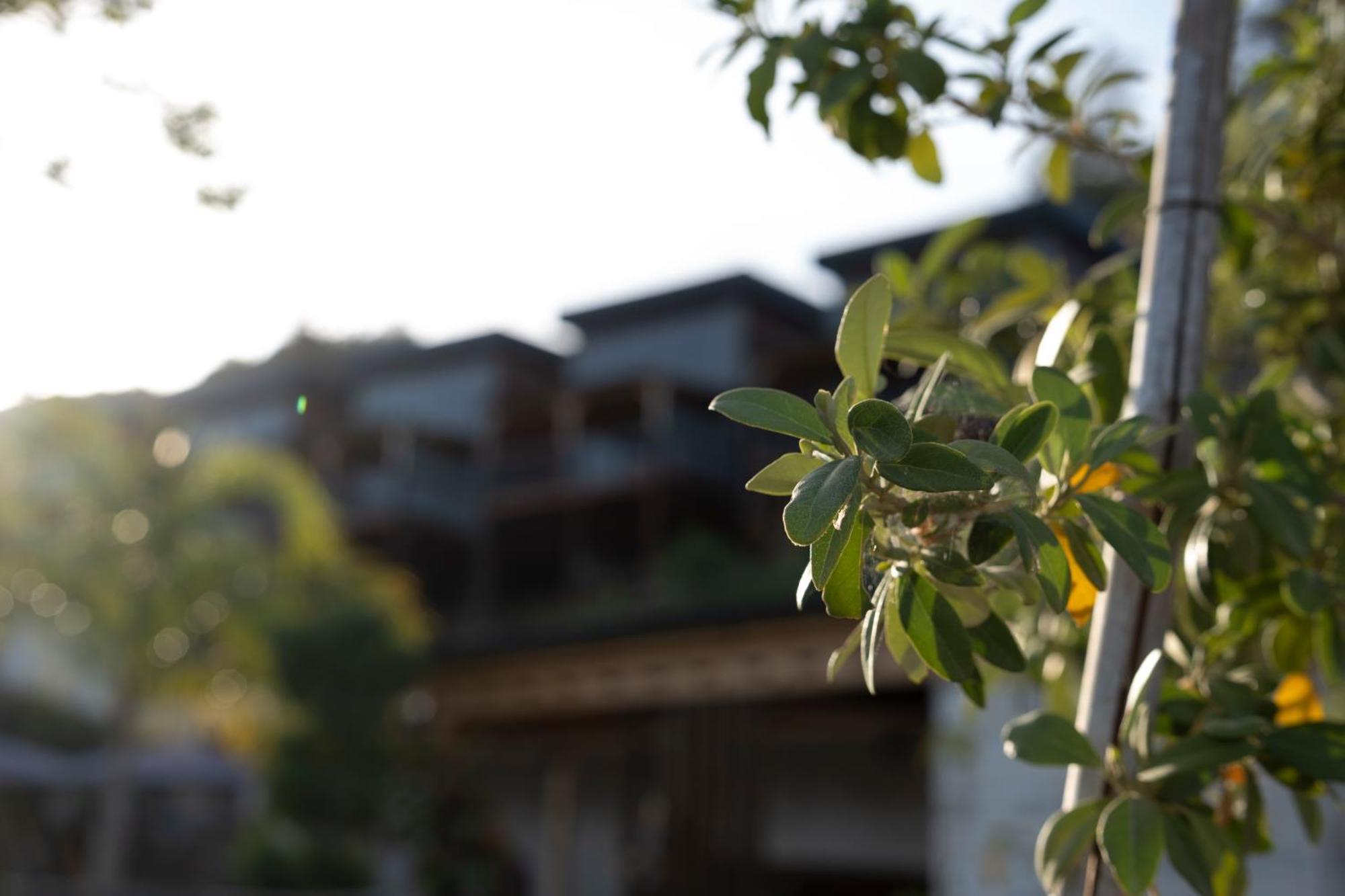 La Veranda Villas Kumluca Экстерьер фото